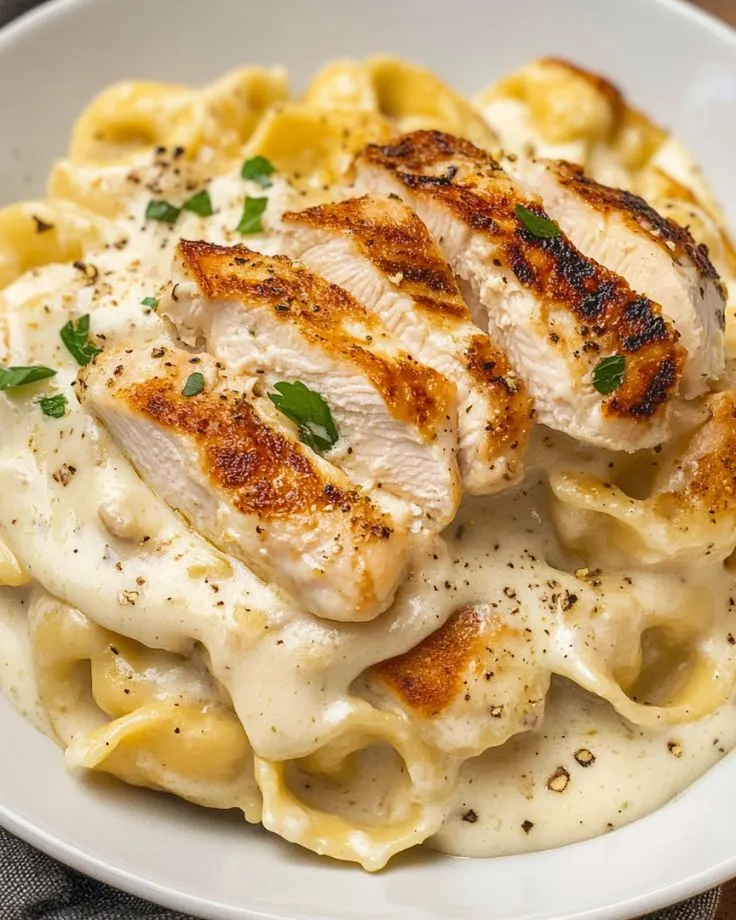 Olive Garden Asiago Tortelloni Alfredo with Grilled Chicken 4