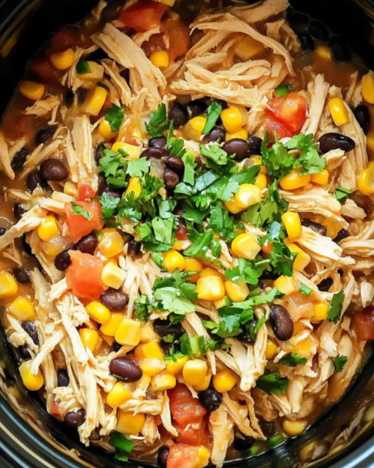 slow-cooker-fiesta-chicken 11